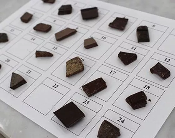 Chokladprovning – Lär dig allt om choklad